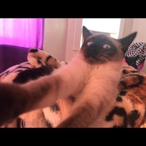 Meet your Posher, Jomari